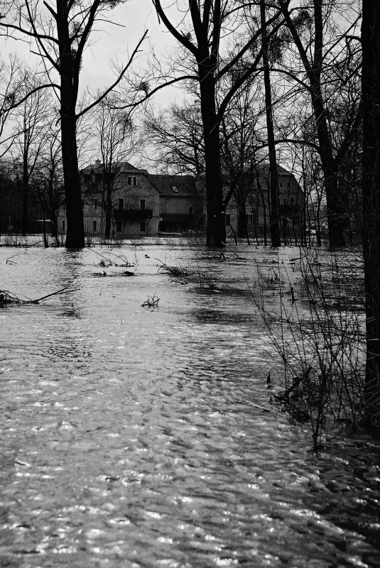 Mitten im Wasser, aber mit trockenen Wohnungen – die „Schanze“ in Hosterwitz. Foto: Jürgen Frohse