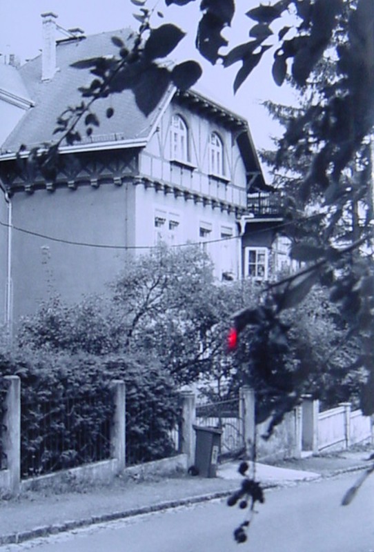 Oskar-Pletsch-Straße 10 – Vorbild für das „Haus Abendstern“. Foto: Archiv Uwe Tellkamp