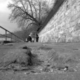 Rechtselbischer Radweg kommt nicht in Schwung – Wie weiter am Körnerweg?