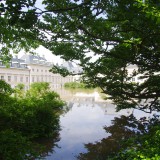 Wasserschloss Pillnitz - der Fliederhof ist eine Seenlandschaft. Wasserschloss Pillnitz - der Fliederhof ist eine Seenlandschaft.