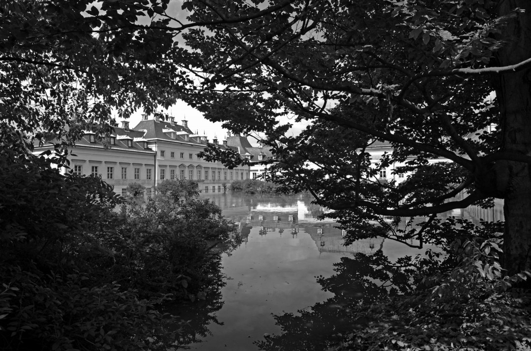 Pillnitz: Fliederhof unter Wasser. Foto: Jürgen Frohse