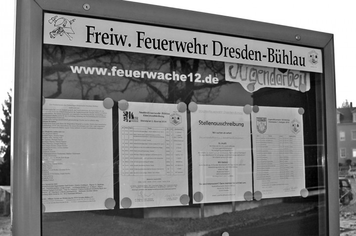 Die Jugendfeuerwehr ist seit einigen Jahren ein fester Bestandteil der Freiwilligen Feuerwehr Dresden-Bühlau. Foto: Katharina Genz