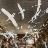 Erinnerung an eine Vogelschar über der Ausstellung »Blüten, Lieder, Frühlingsglück« im Palais im Großen Garten