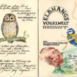 »Elbhangs Vogelwelt« in Farbe – Aquarelle von Bea Berthold und Martin Biedermann
