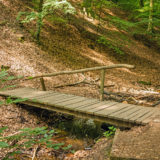 Holzsteg