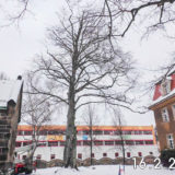 2021-04_Rotbuche-Versoehnungskirche-Striesen-1