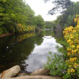 Weg 8»Weißwasser – Bad Muskau – Kromlau«