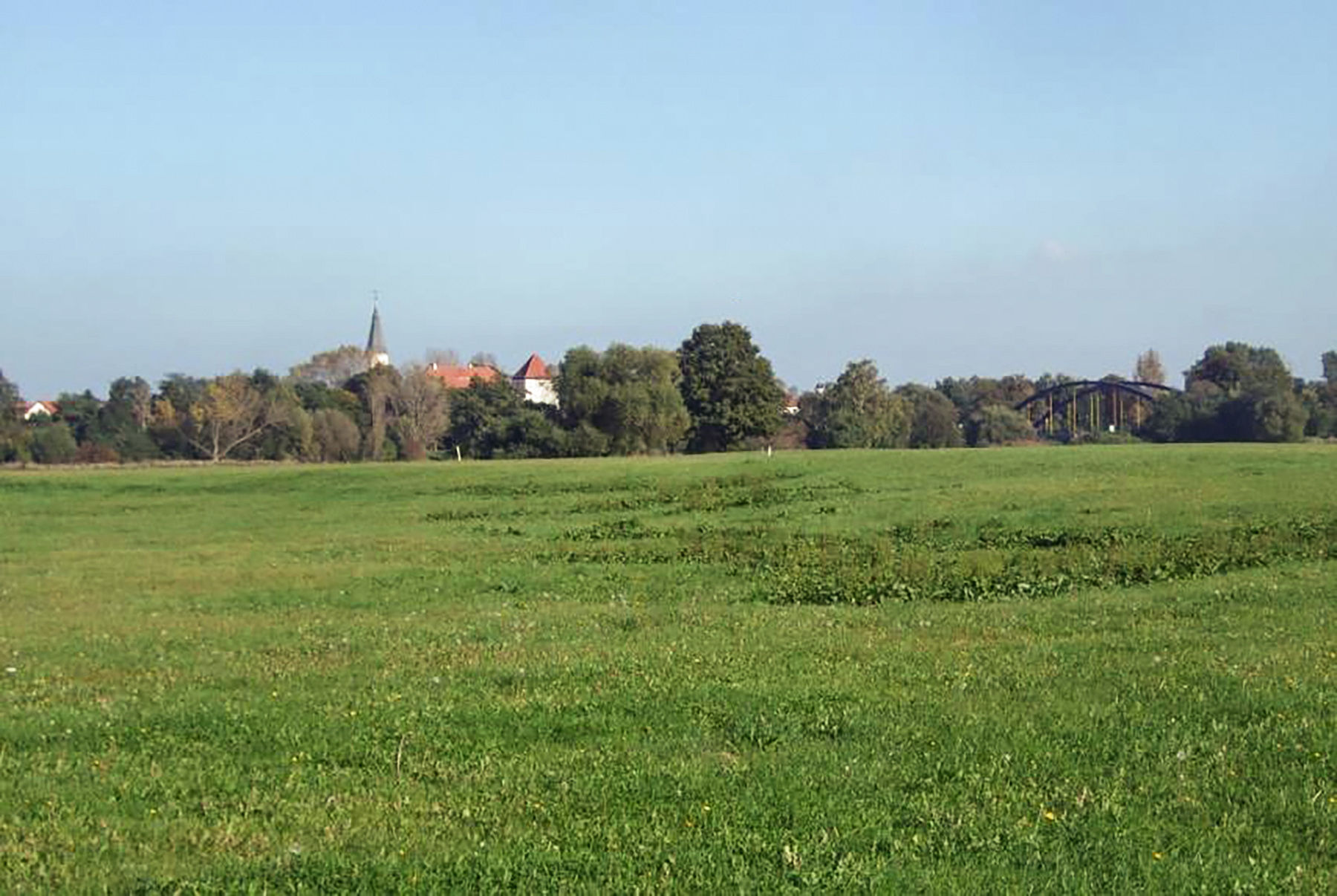Bad Düben von der Muldeaue. Foto: Dr. Michael Damme