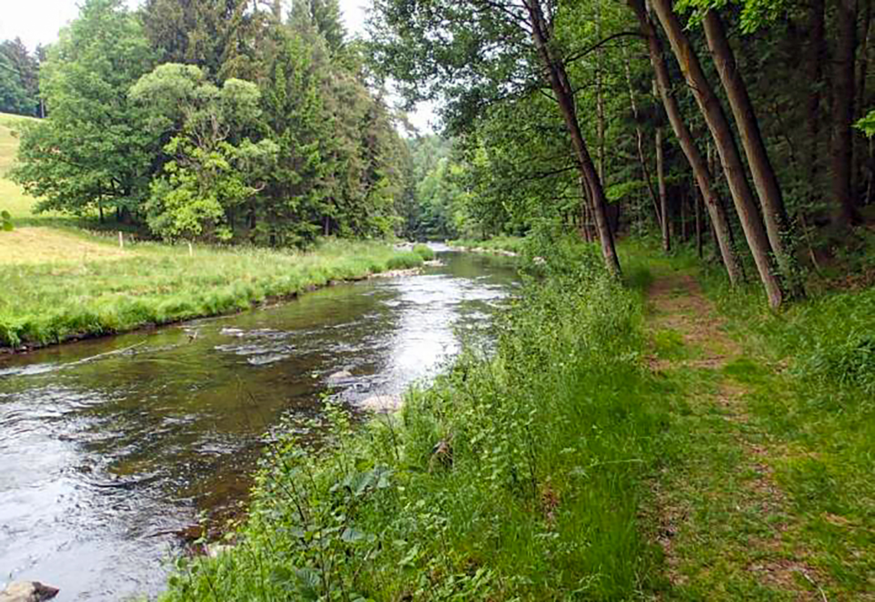 An der Mulde. Foto: Dr. Michael Damme