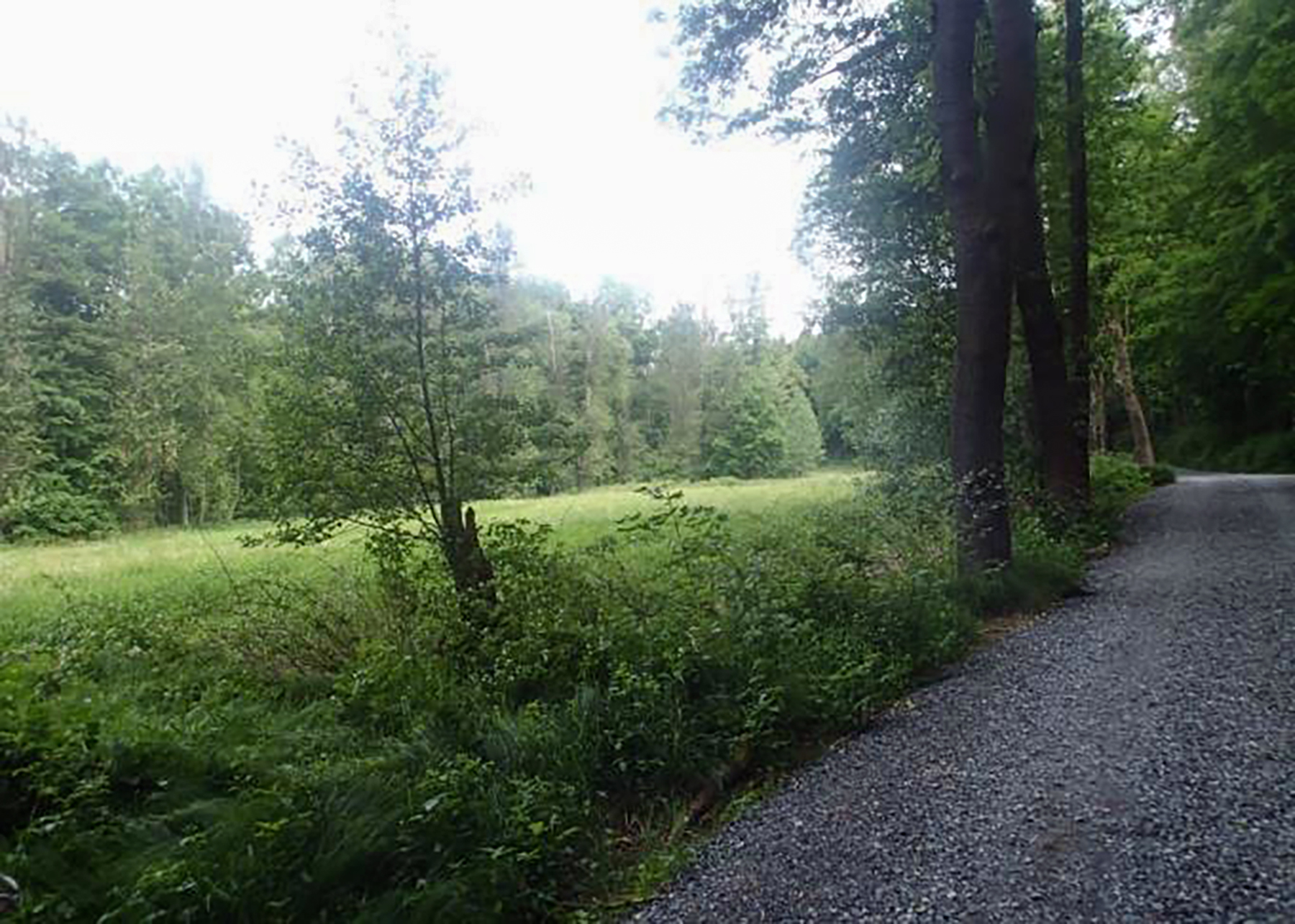 Im Walterstal. Foto: Dr. Michael Damme