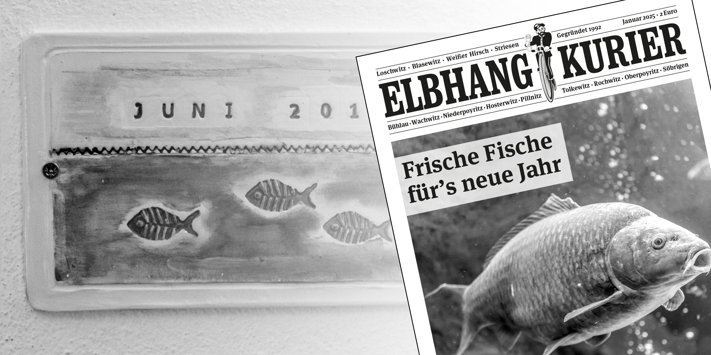 Elbhang-Kurier Januar 2025